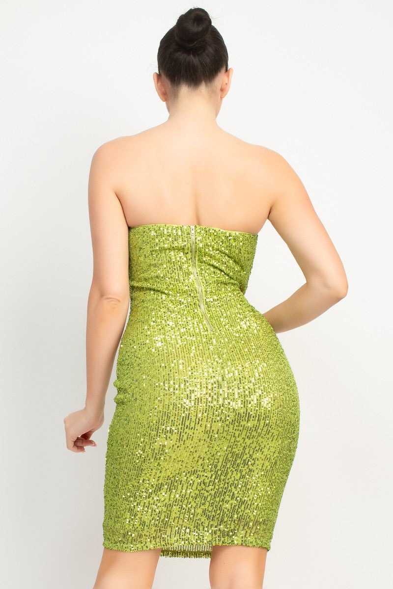 Sequin Bodycon Zippered Tube Mini Party Dress