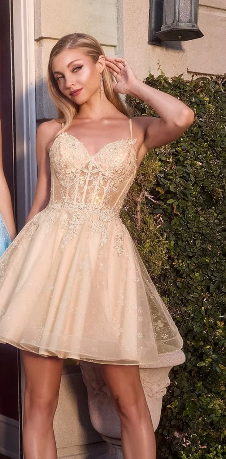 SWEETHEART SPAGHETTI STRAP MINI COCKTAIL DRESS WITH FLORAL EMBROIDERY